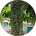 Foto Profil Nazaruddin Nazaruddin
