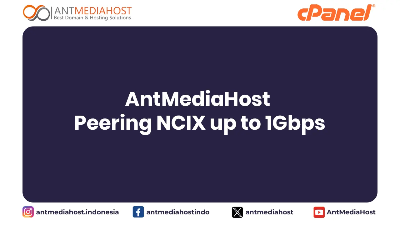 AntMediaHost Peering NCIX up to 1Gbps