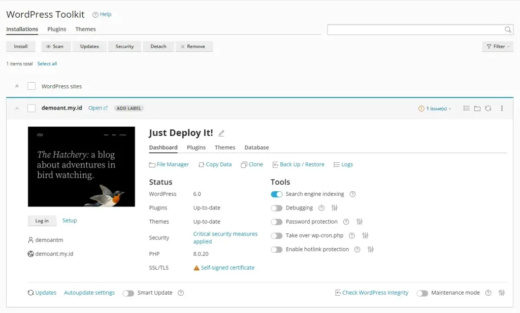 install wordpress