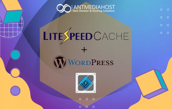 Panduan Cara Menghapus Cache Litespeed